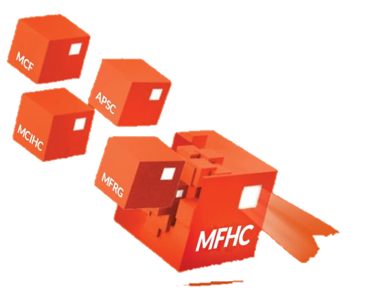 mcfaddin finch company holdings